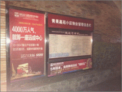  欧诺尼净水器进入乐山区域广告投入计划书